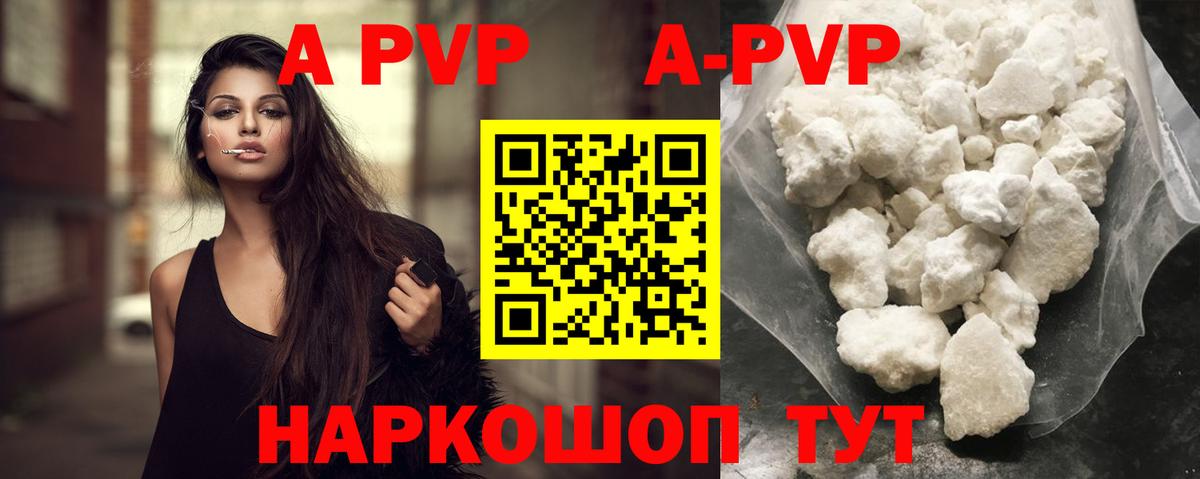 Альфа ПВП СК КРИС Киселёвск