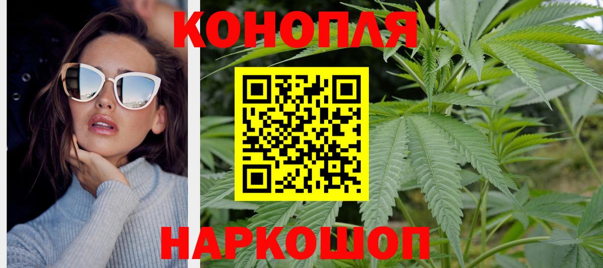 Каннабис OG Kush Киселёвск